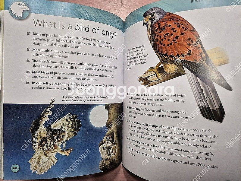 영어원서 마일즈 켈리(Miles Kelly) 4권 택포--5