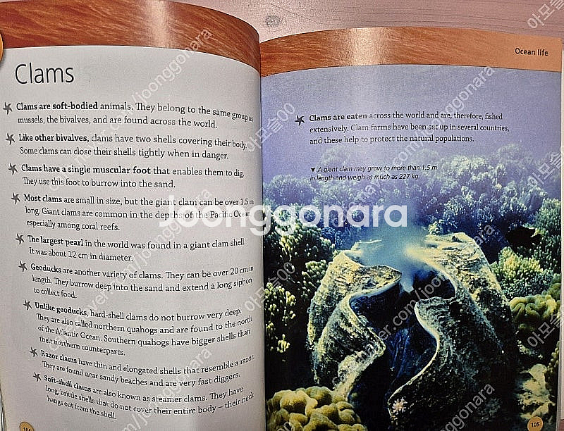 영어원서 마일즈 켈리(Miles Kelly) 4권 택포--7