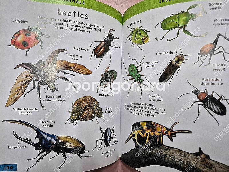 영어원서 마일즈 켈리(Miles Kelly) 4권 택포--9