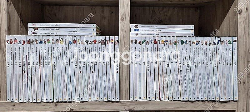 첫발견 시리즈 80 + 얼리버드 60권 합 140권 일괄 택포--1