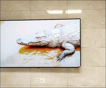 엘지 EVO 77인치 올레드 에보 고급형 OLEDTV UHD 울트라티비 4K 스마트TV--2
