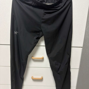 아크테릭스 스쿼미시 팬츠