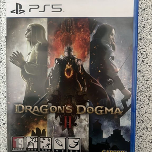 PS5 드래곤즈 도그마 2