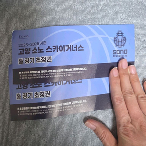 고양 소노 스카이거너스 2인 티켓