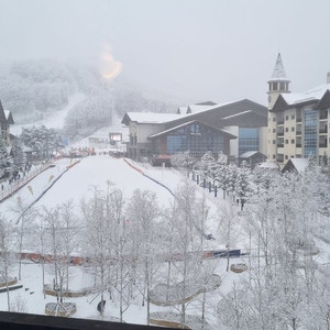 스키시즌 1월 2월 하이원리조트 마운틴콘도 힐콘도 메인타워 컨벤션 타워 스키장비렌탈 있습니다