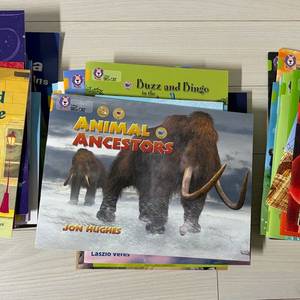 수퍼맘 콜린스 빅캣(big cat readers) 화이트 골드 라임(화골라)