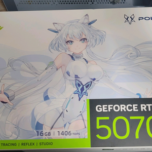 Manli PolarFox RTX 5070Ti 16GB