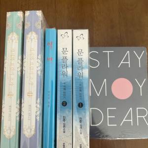 로맨스 소설 개인지 열병 외