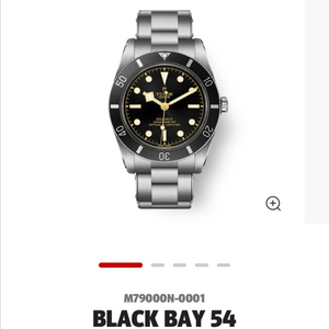 (백화점 새상품) 튜더 블랙베이 54 M79000N-0001