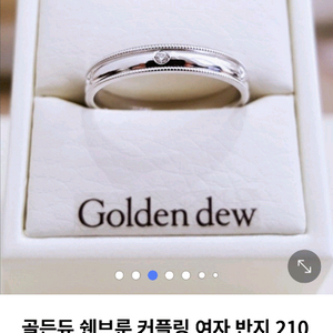 골든듀 쉔브룬 11호