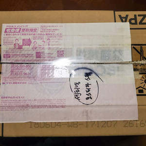 센티넬 모스피다 스틱(미개봉)판매