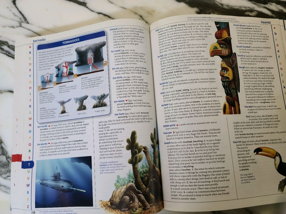 맥밀란 영영사전 Macmillan Dictionary for Children 이미지
