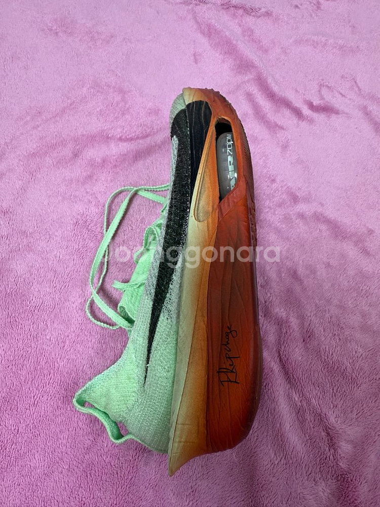 나이키 알파플라이3 킵초계 에디션 245mm--3