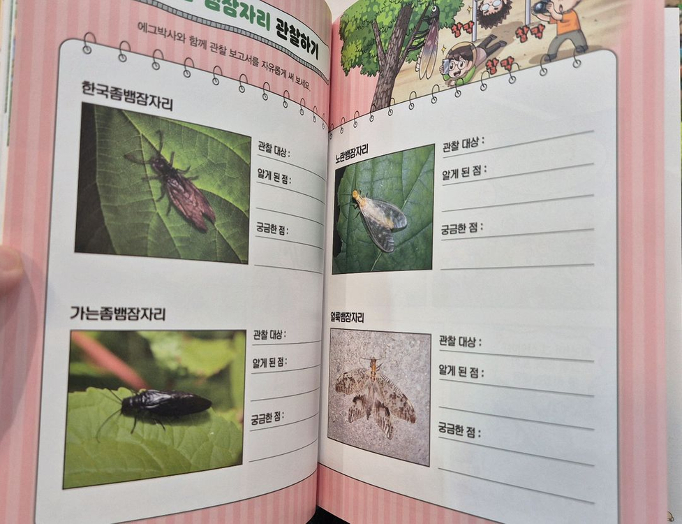 에그박사 총 14권 깨끗,택포--4