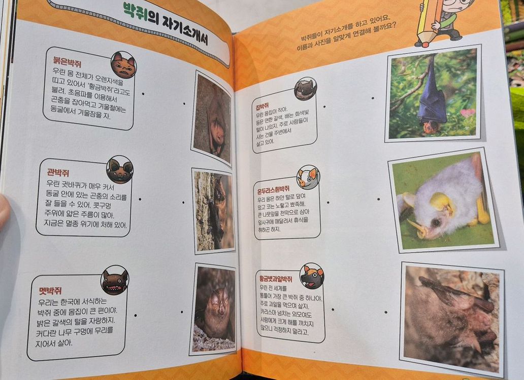 에그박사 총 14권 깨끗,택포--7