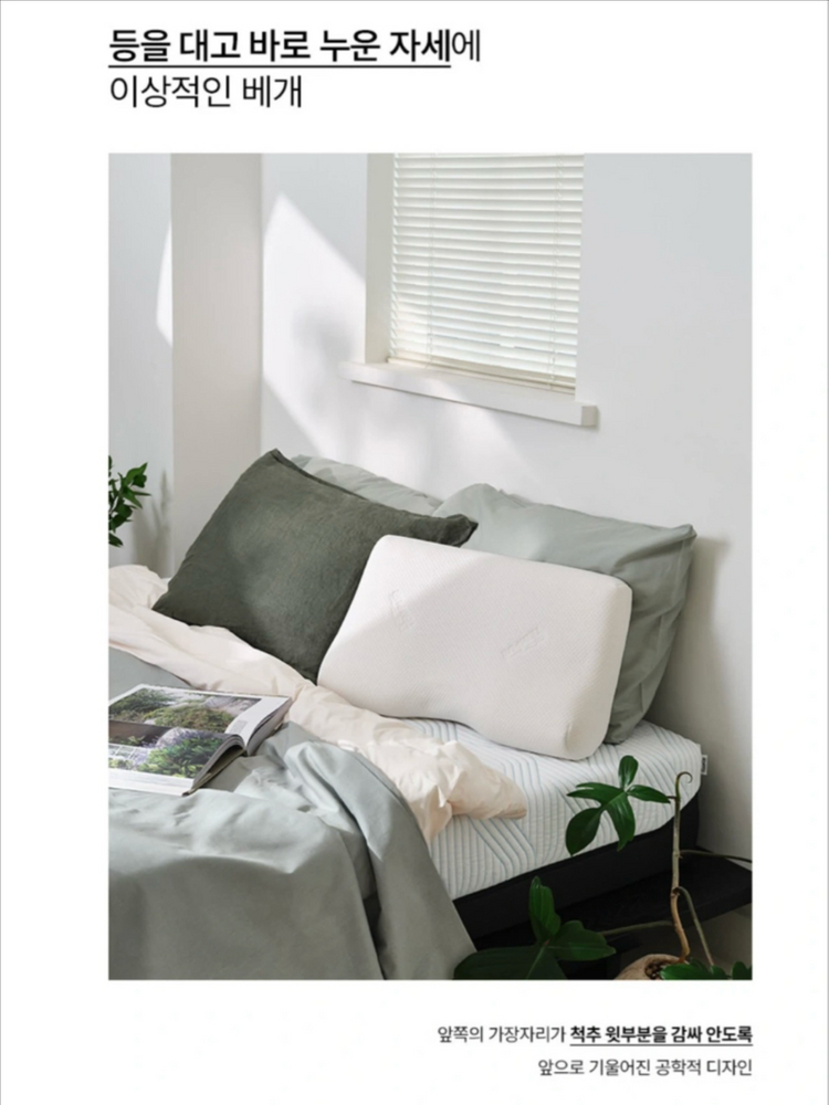 에르고 플러스 베개 L사이즈--1