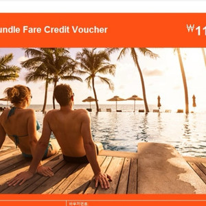 젯스타 항공권 구매가능한 바우처 판매합니다. 220만원->180만원 이미지