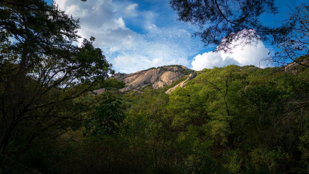 소니 a6400, 스몰리그 케이지, 보야 마이크, sel50f1.8 렌즈--1