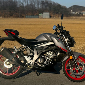 스즈키GSX-S125/20년식/1만키로/205만원 이미지
