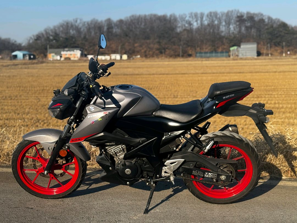 스즈키GSX-S125/20년식/1만키로/205만원 이미지