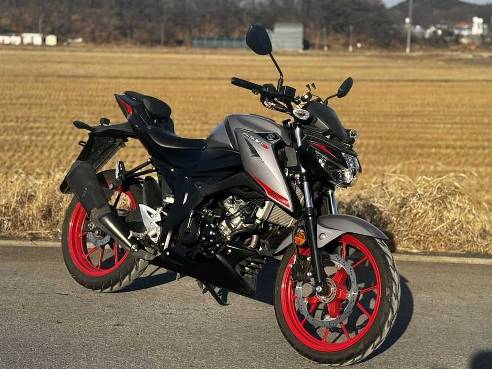 스즈키GSX-S125/20년식/1만키로/205만원 이미지