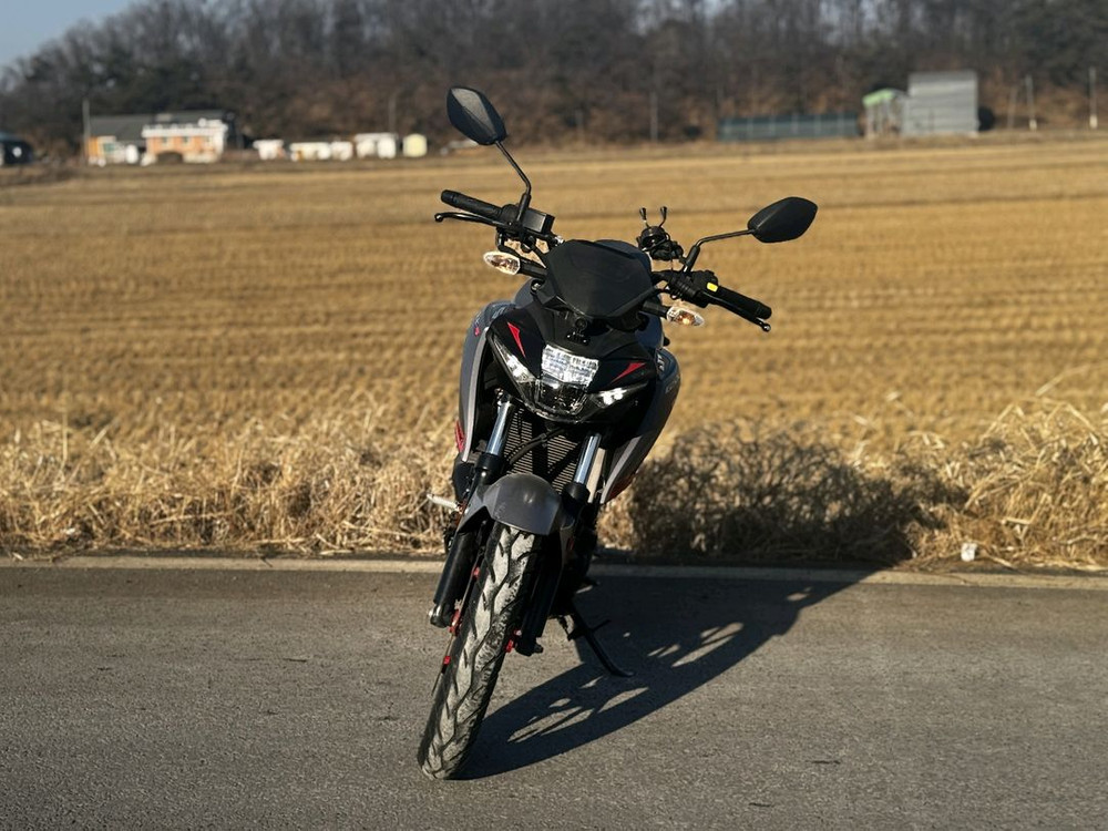 스즈키GSX-S125/20년식/1만키로/205만원 이미지