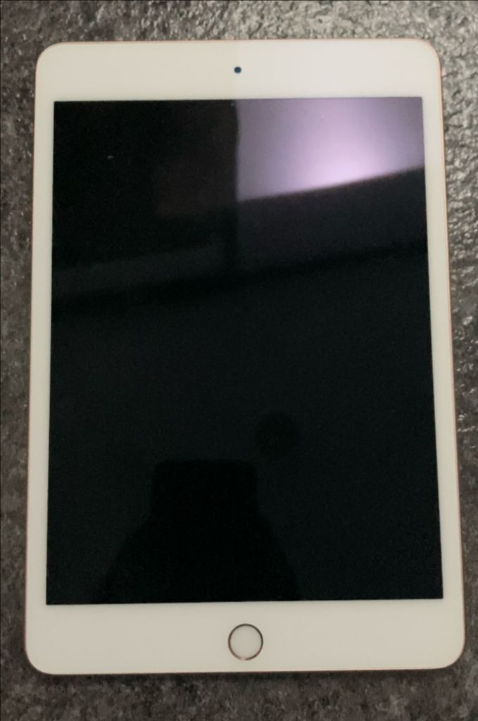 아이패드 미니 5 256GB Wi-Fi 로즈골드 판매합니다--0