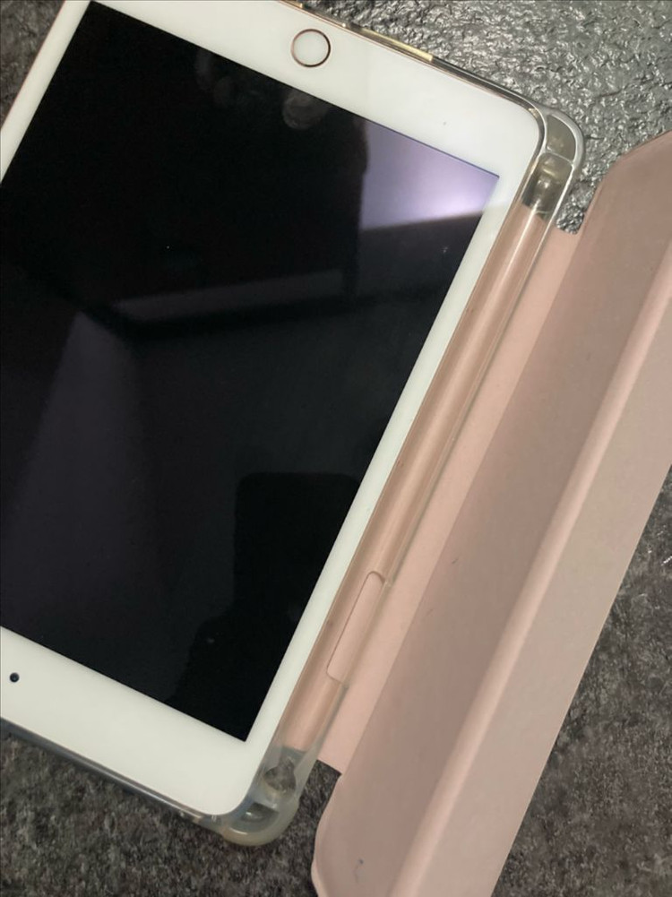 아이패드 미니 5 256GB Wi-Fi 로즈골드 판매합니다--5