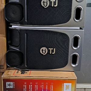 태진 TS-H100 스피커