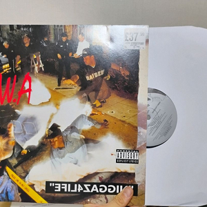 힙합앨범 NWA - Niggaz 4 Life LP 이미지