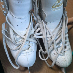 피겨 스케이트화