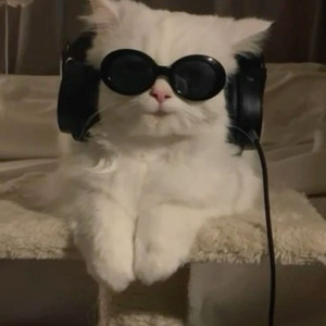 로스트아크 닉네임 삽니다 이미지