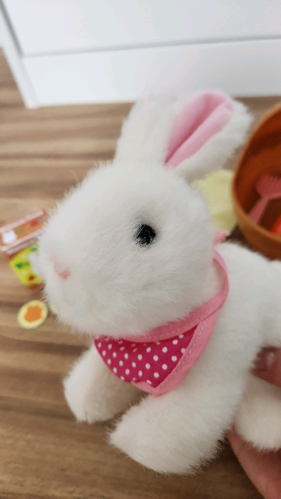 (A급) 아기토끼 키우기 장난감 이미지