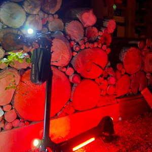 레드윙 전동킥보드 상태좋음 픽시 대차