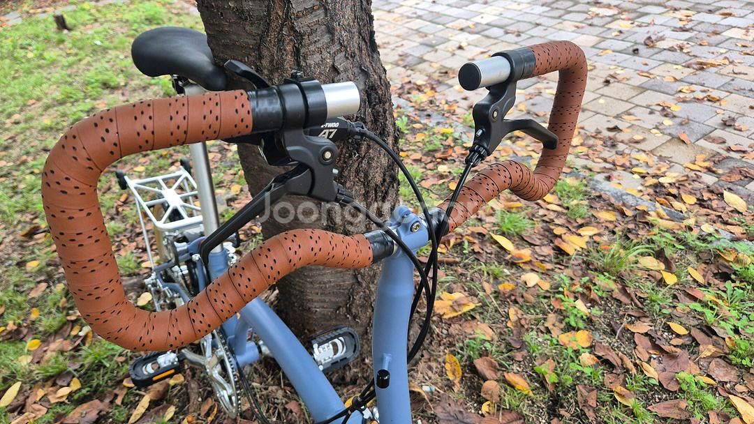 트라이폴드 룸 ruhm rc7 P바튜닝 미니벨로--1