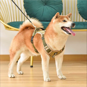 4070ti super , 5070 ti white 구매합니다