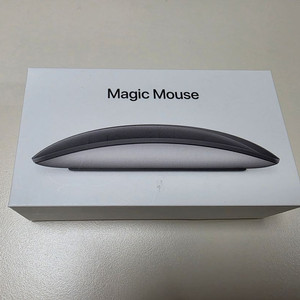 애플 매직마우스 스페이스 블랙