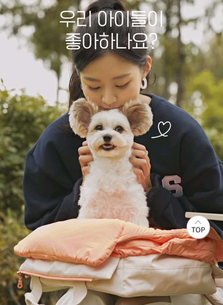 아르르 포옹백 강아지이동가방 이미지