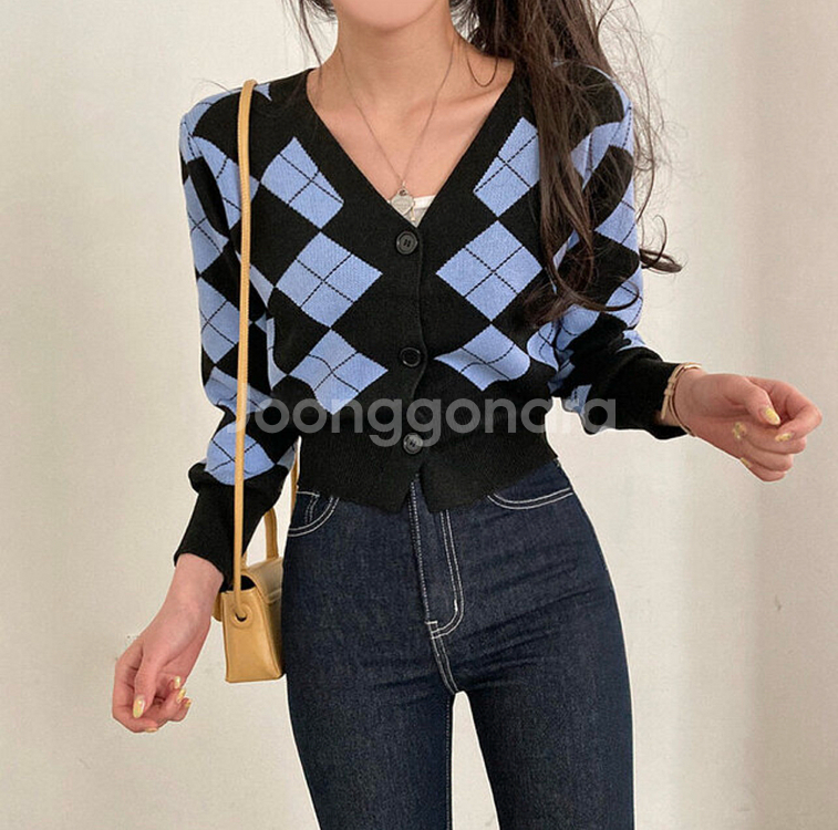 아가일 가디건--1