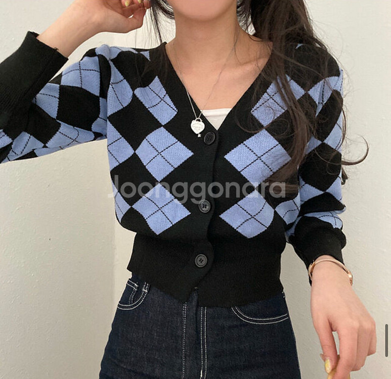 아가일 가디건--2