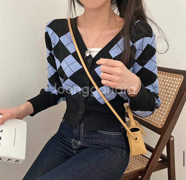 아가일 가디건--4