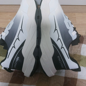 급처요 >> 트레킹화 265