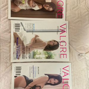 발그레 잡지 3권 일괄