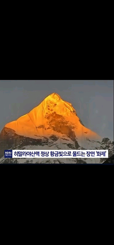 수석3점 점당가격 이미지