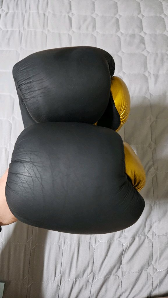 투이스코 504 복싱 글러브 10온스--3