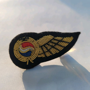 대한항공 구형 승무원윙 이미지