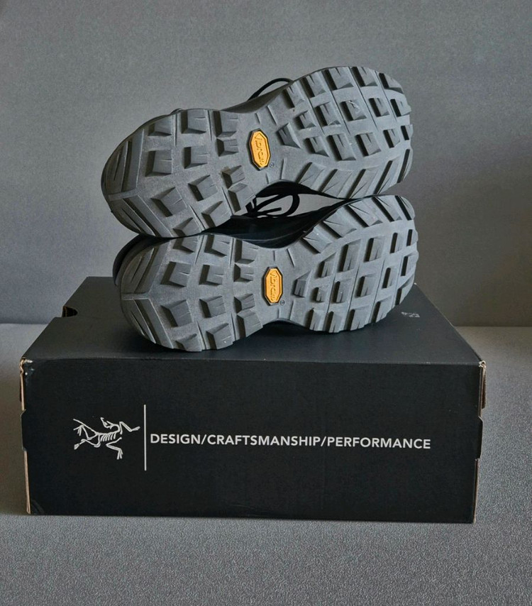 아크테릭스 에어리어스 FL 고어텍스 등산화 250--3