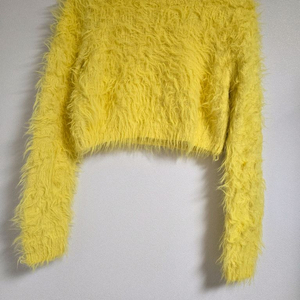 딘트 옐로우니트