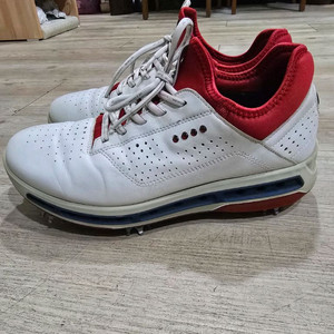 ECCO GOLF 바이움 고어텍스 골프화 39 250MM