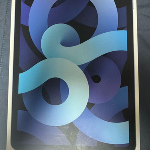 아이패드 에어 4세대 스카이블루 64GB 북미판